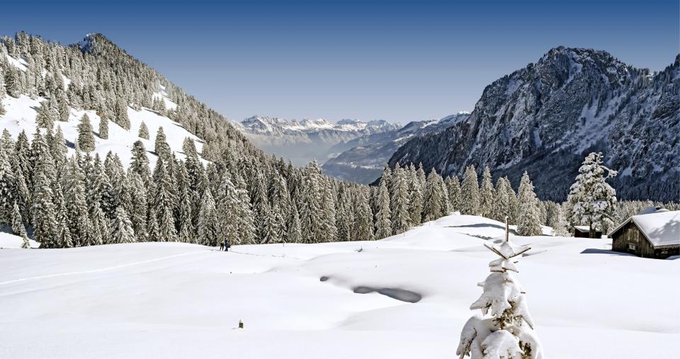 Das Wandern, 6/2025, Niederurner Tal